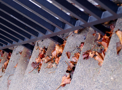 leaves on stairs